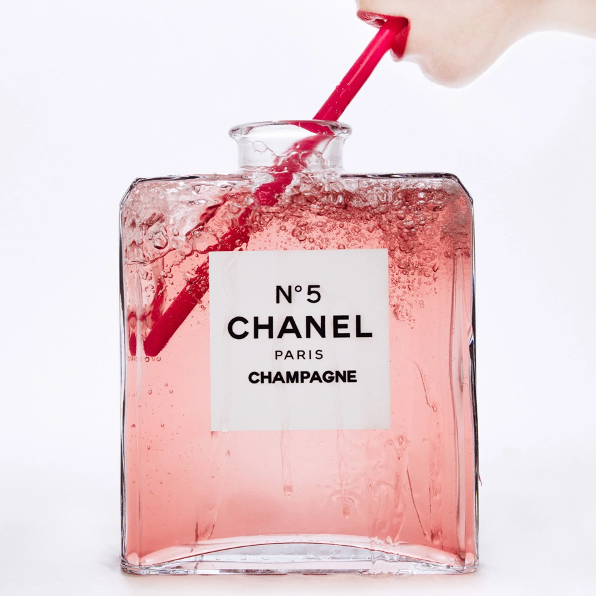 CHANEL X TYLER SHIELDS