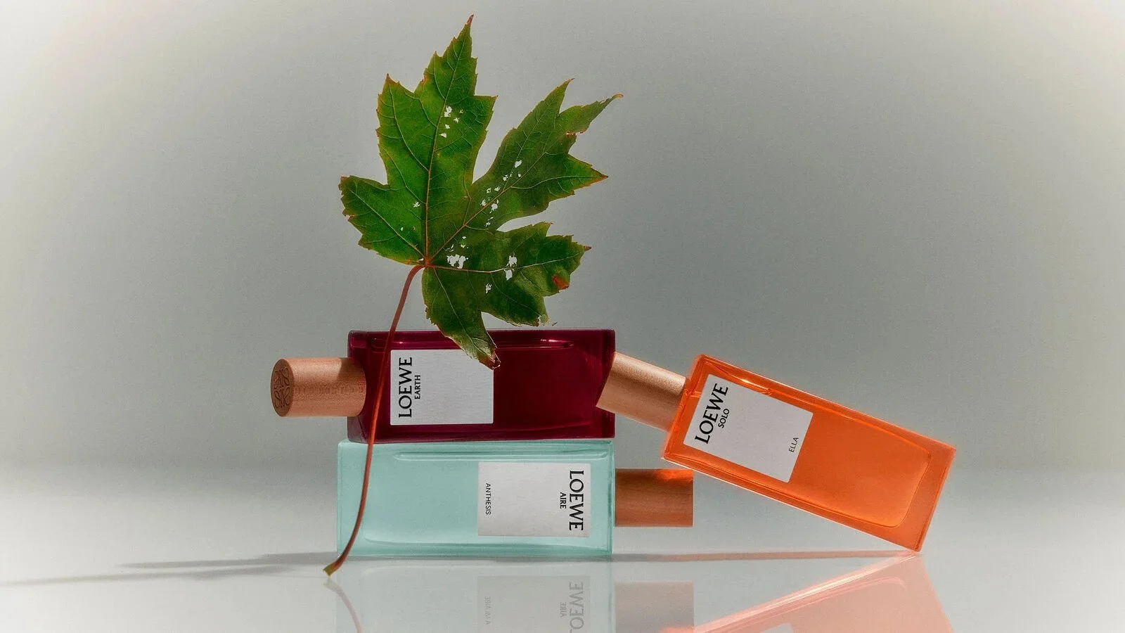 LOEWE FRAGRANCES