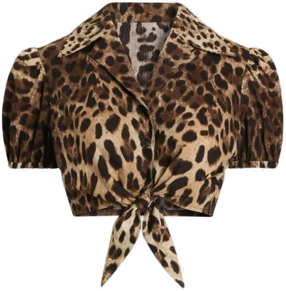 Dolce & Gabbana leo-print Poplin Shirt | Neutrals | FARFETCH CA